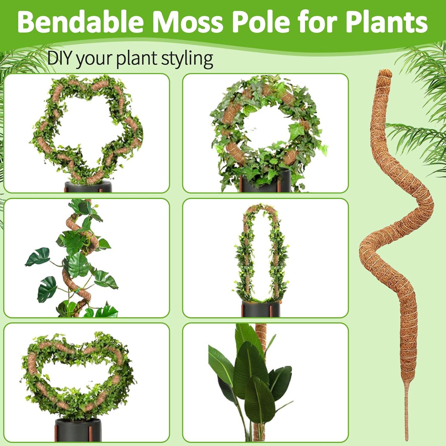 DIY Beeldhouwen Plant Klimpaal Gebogen Kokosnoot Stok Gratis Beeldhouwen Plant Klimpaal Mospaal Tuinbouw Bruine Kolom