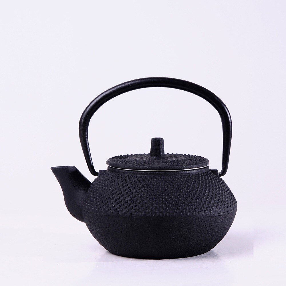 Cast Iron Teapot Japanese Tetsubin Tea Pot Kettle Drinkware Tools 300ml Kung Fu Infusers Stainless Steel Net Filter