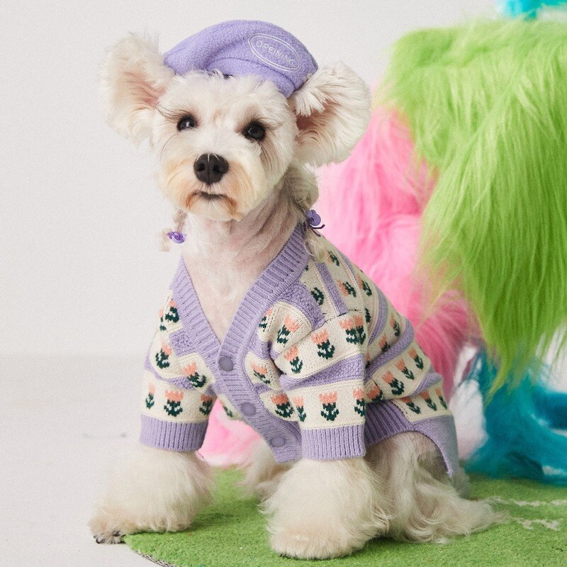 Béret pour chien, joli chapeau pour petit chien, accessoire de décoration, mignon, Schnauzer, pour chiot,