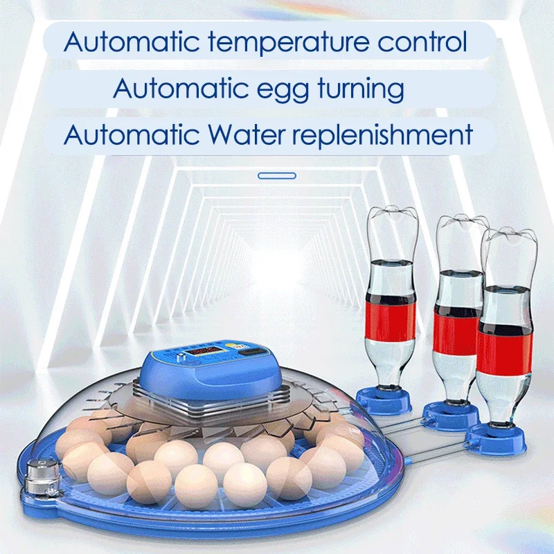 Incubadora de 8 huevos, incubadora completamente automática, Control inteligente de temperatura/reposición automática de agua, herramienta de incubación de aves de corral