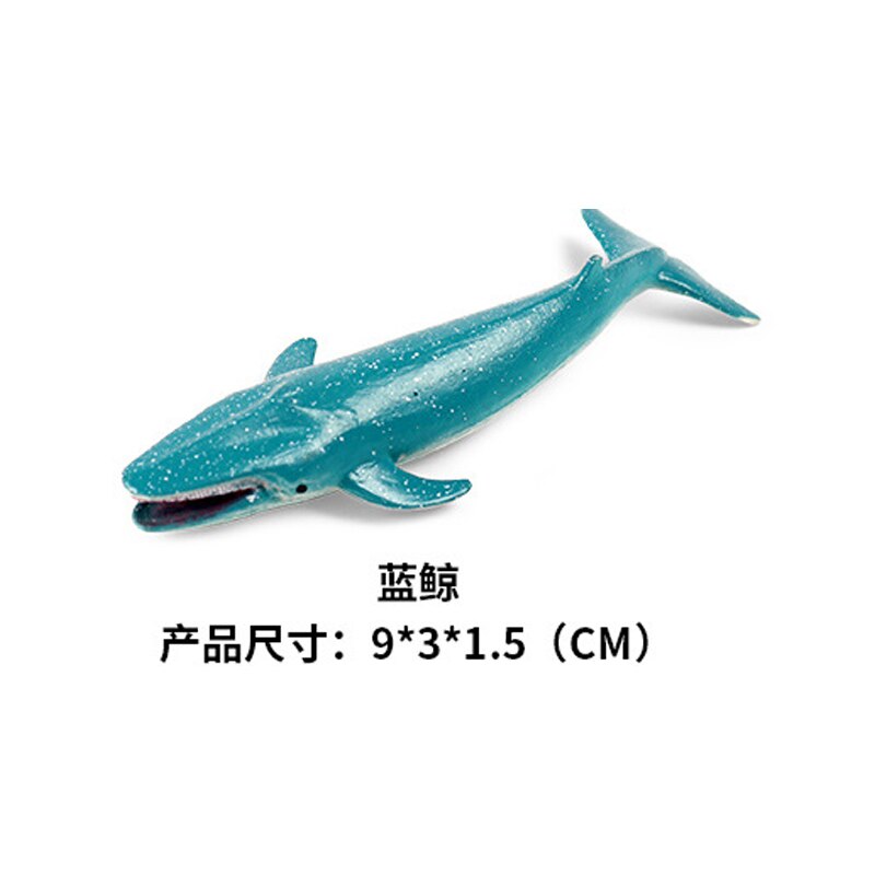 Handmade Model Marine Creatures Sharks Whales Turtles Scene Simulation Early Education Enlightenment: Blue Whale