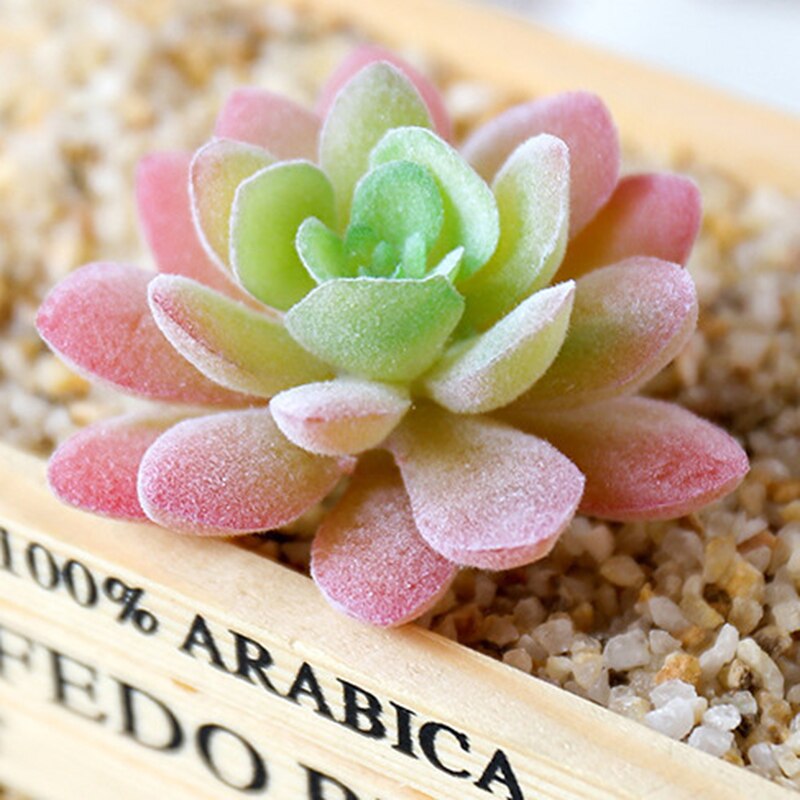 1Pc Groen Paars Rood Massaal Kunstmatige Vetplanten Planten Tuin Decoratie Bloemstuk Badkamer Accessoires Plant