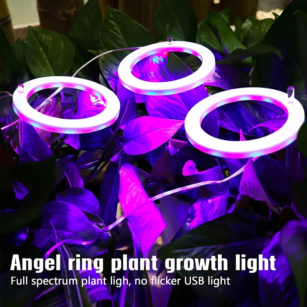 Luz LED anular para plantas, luz de crecimiento pequeño, atenuación de sincronización USB, adecuada para plantas de interior, luz suculenta para peceras