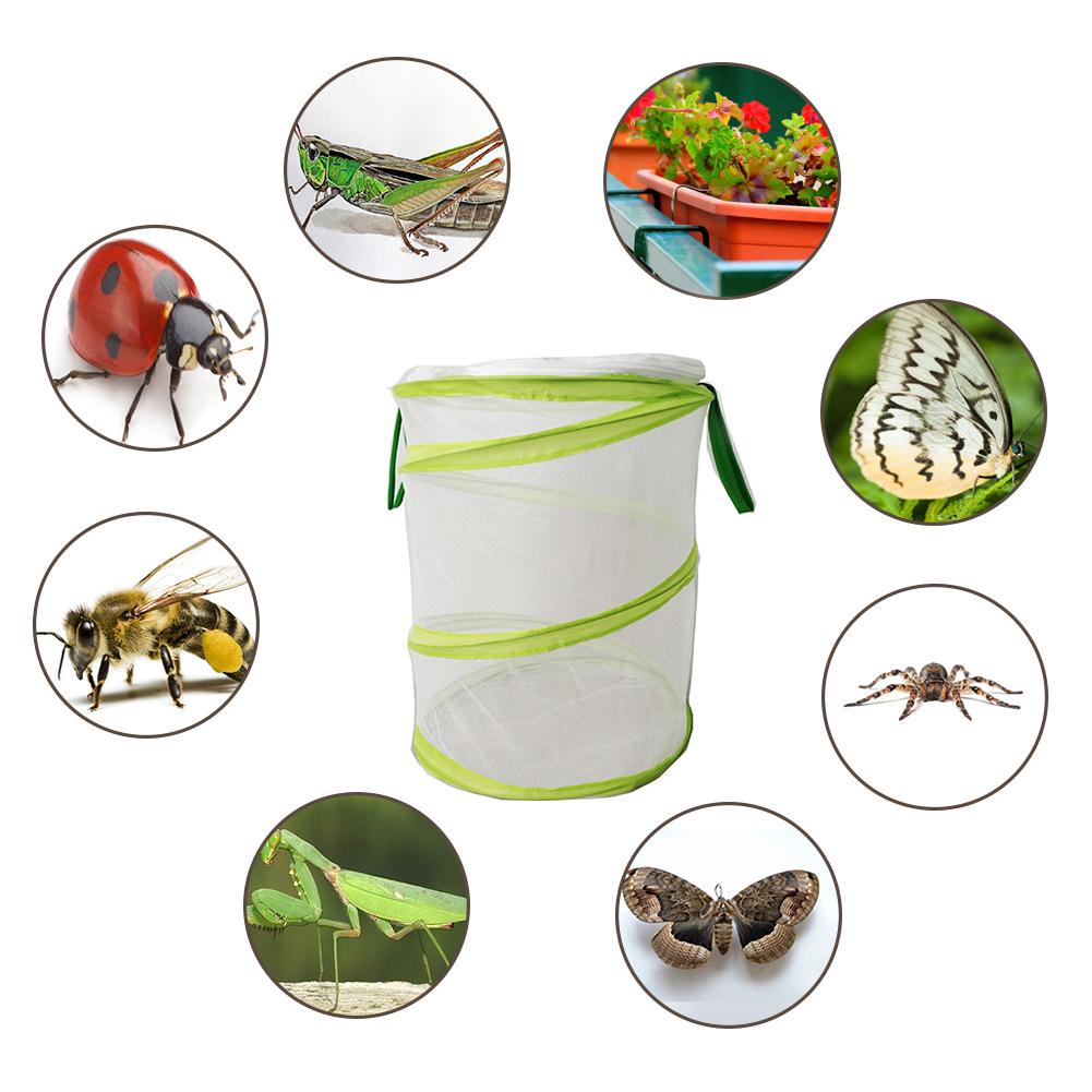 Insect En Vlinder Habitat Vlinder Kooi Insect Fokken Mesh Net Outdoor Tuin Insect Voeden Observatie Doos