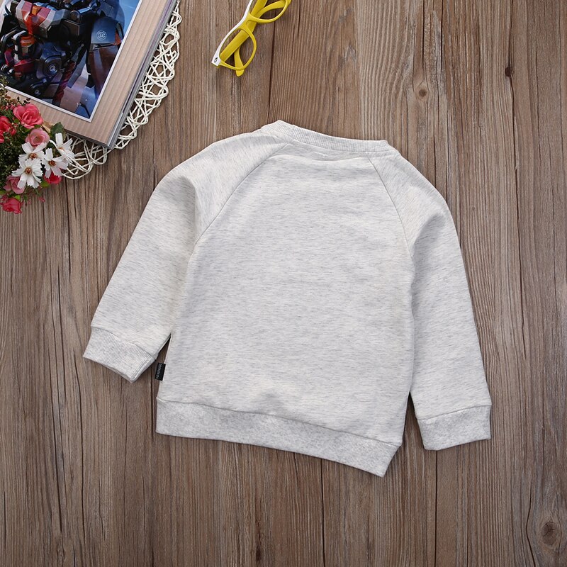 Toddler Baby Boys Autumn Winter Casual Active 2 Style Long Sleeve O-Neck Pullover Pattern Print Warm Shirt Tops Outfit 1-4Y