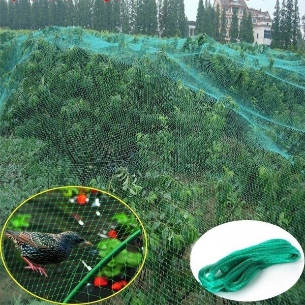 2m / 4mx10m Anti Bird Protect Tree Net Fruit Crop Plant Garden Pond Netting Mesh Garden Netting Plant Support Care Net