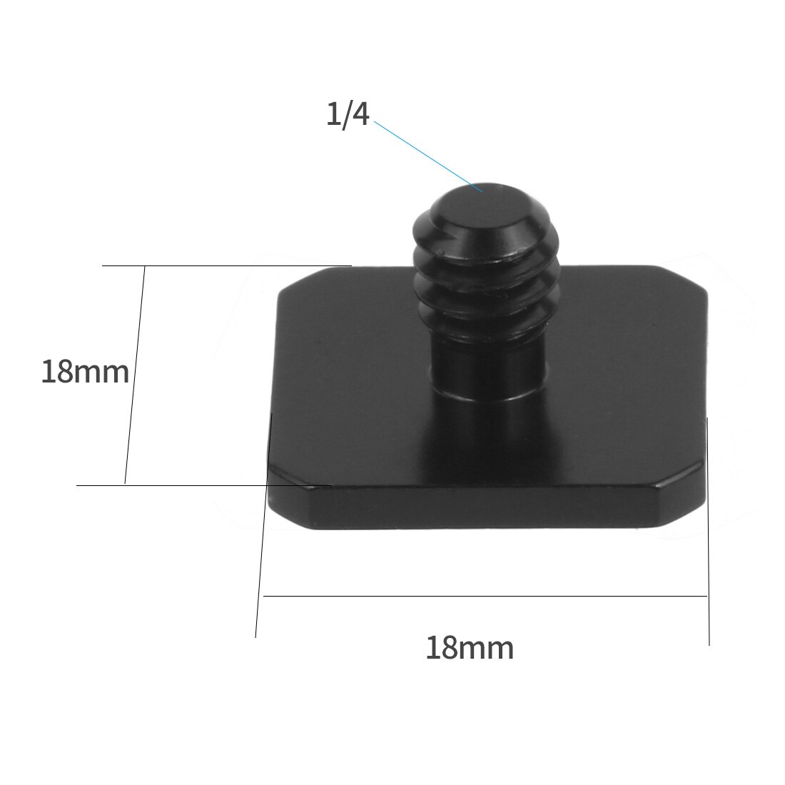 Camera Accessories 3/8" Female to 3/8 1/4" Male Shoe Screw Thread Metal Hex Screws Adapter for DSLR Tripod Flash Light Mount: Type C