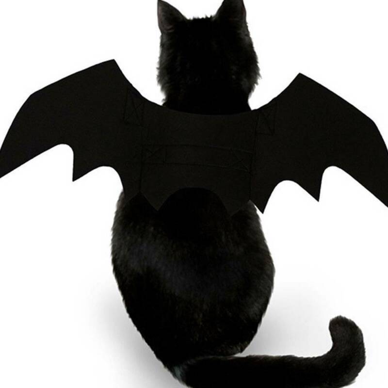 Halloween Haustier Schläger Flügel katze kostüm Haustiere kostüm tragen Halloween-Schild