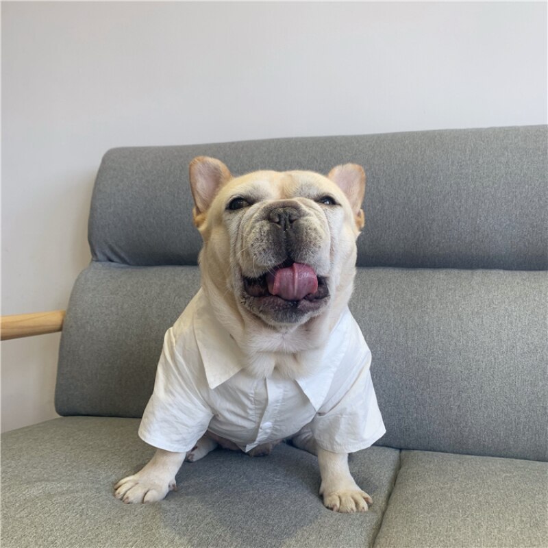 Ubranie dla mopsów buldog francuski odzież letnia koszulka dla psa garnitur z kamizelką płaszcz walijski corgi buldog kostium Dropshipping ubrania dla zwierząt domowych odzież