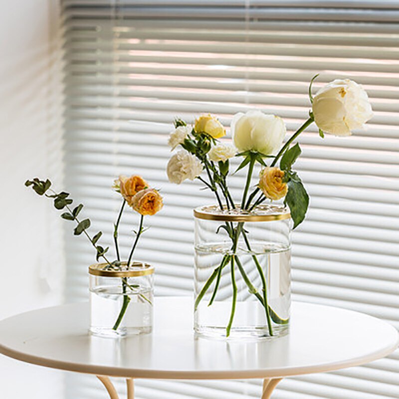 Nordic Transparent Glass Vase Golden Grid Cover Living Room Flower Arrangement Ikebana Decoration Desktop Hydroponic Plants Tool