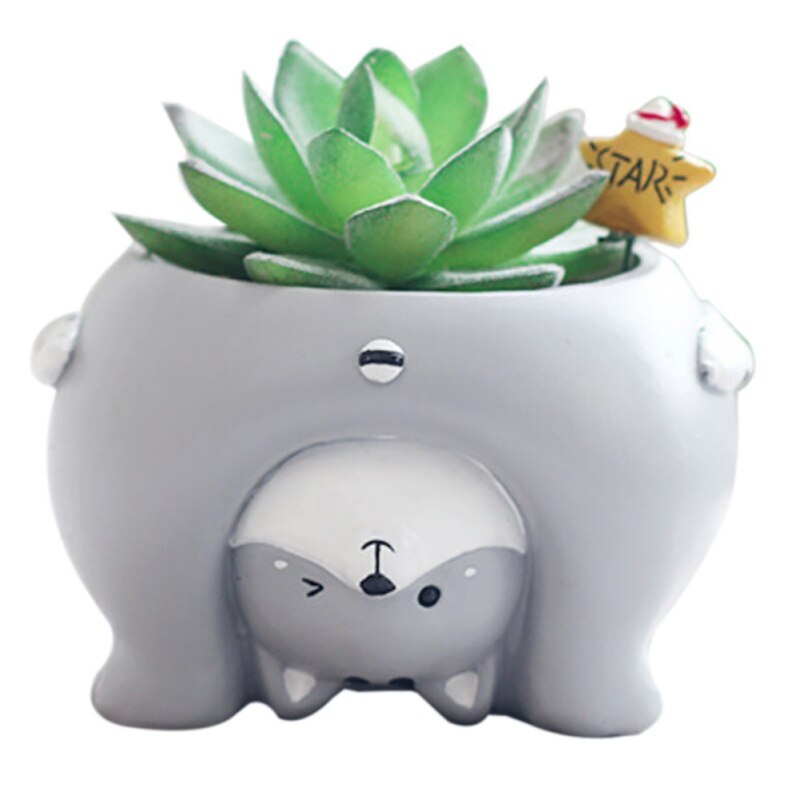 Cartoon hars dier plant bloempot tuinplanten vaas huisdecoratie bureau ornament hond/beer/varken vetplant plantenbak tuinieren: A2