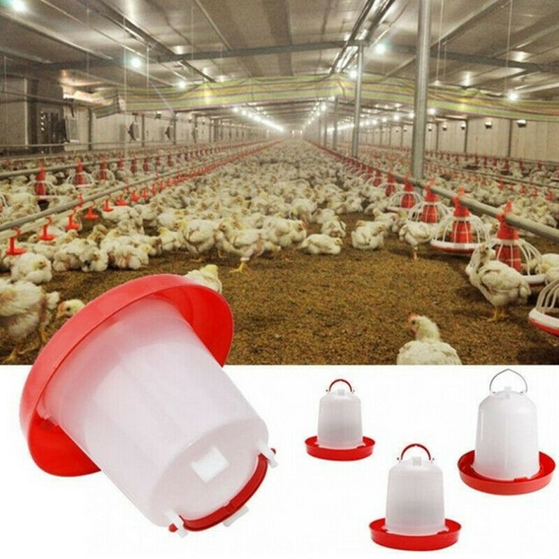 1 Pcs Chicken Drinking Cup Automatic Drinker Chicken Feeder Plastic Poultry Water Drinking Cups Easy Chicken Drinker 1.5/2.5/4L
