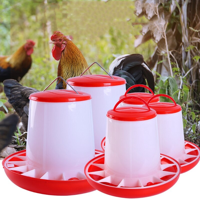 Chick Feeder Automatic Poultry Food Containers for Chickens Geese Ducks Easy to Clean Food Bucket with Handle