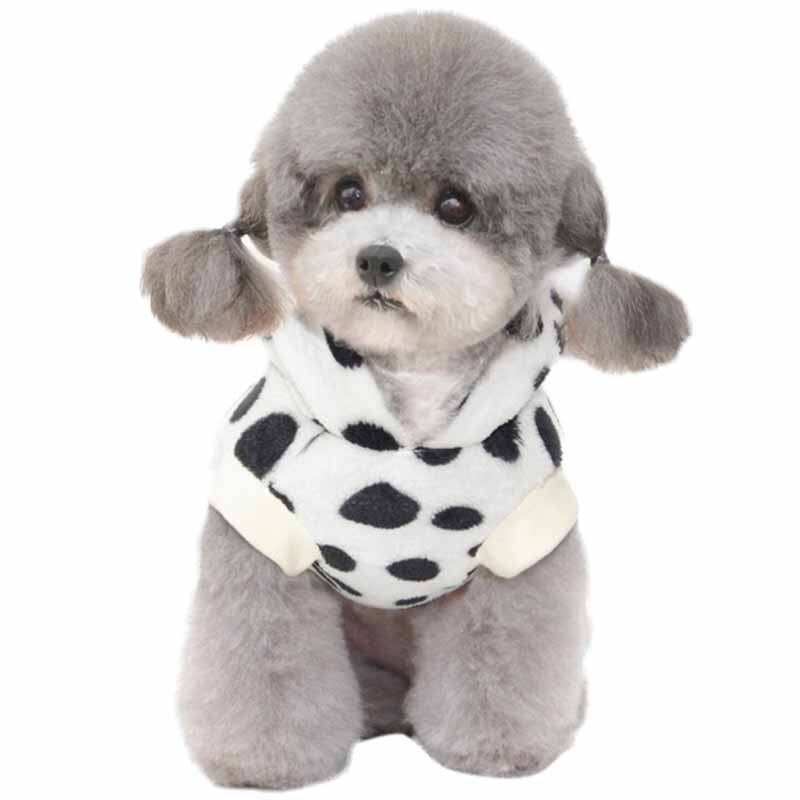 Vêtements pour animaux de compagnie à imprimé léopard automne et hiver, vêtements pour chiots, vêtements pour chiens à deux pattes, vêtements pour chats, vêtements pour chats, vêtements en peluche