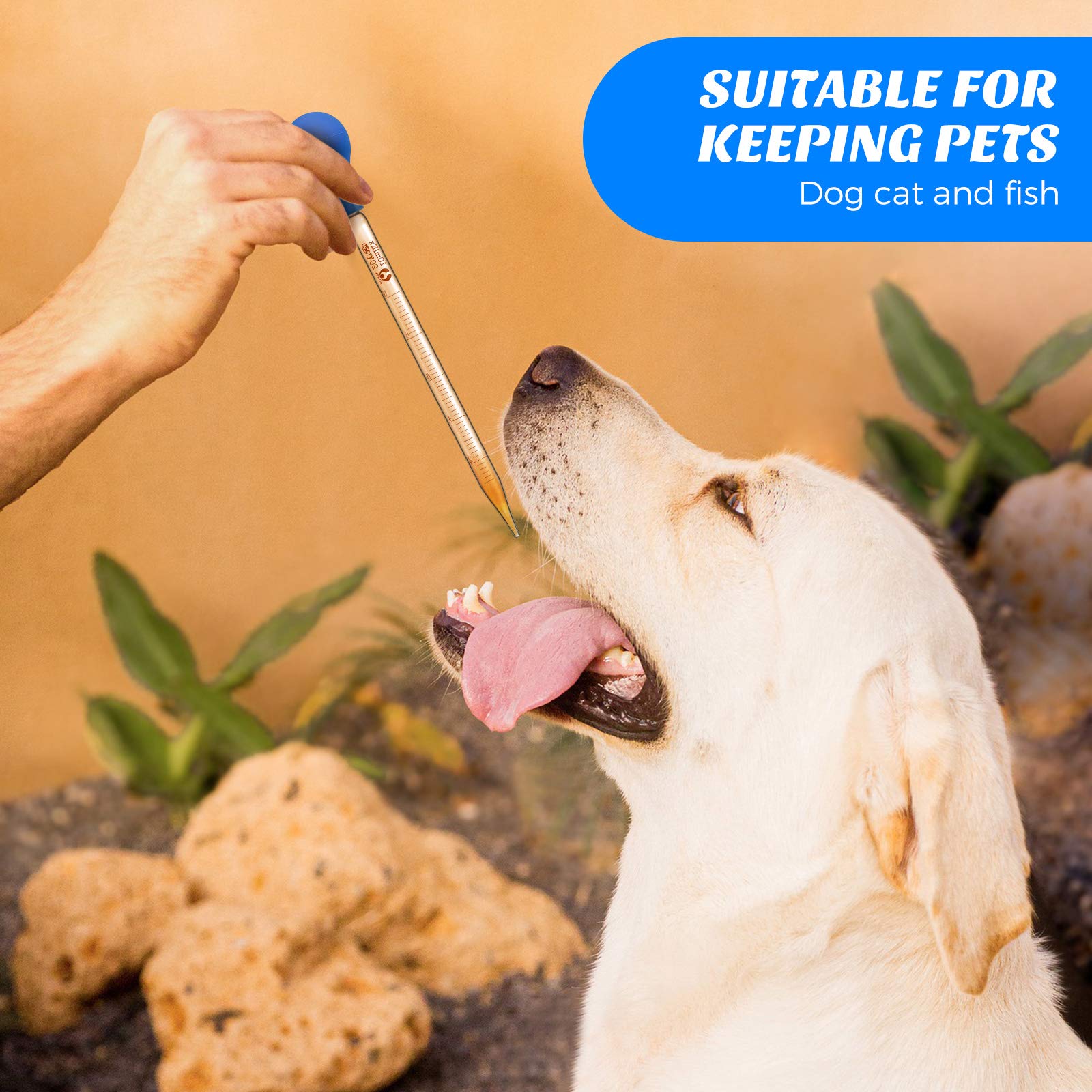 Glazen Droppers Lab Pipetten Druppelaar Glas Vloeibare Pipet Met Grote Rubberen Hoeden 20 Cm (16 Stuks, 5 Ml, 10 Ml)