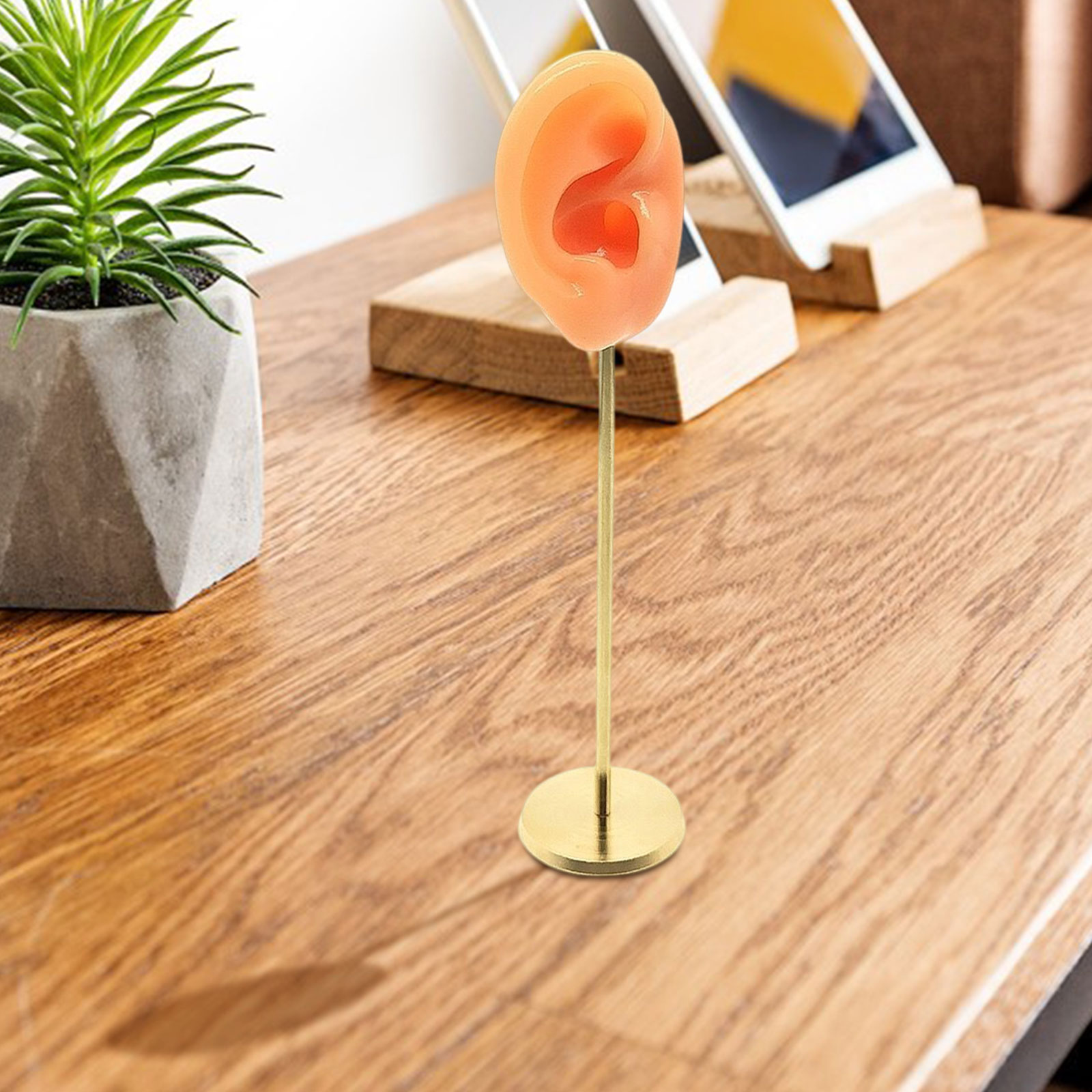 Soportes de exhibición duraderos para pendientes, modelo de oreja humana, soporte para perno prisionero, Base redonda de silicona suave, soporte para maniquí de cumpleaños, organizador de pendientes