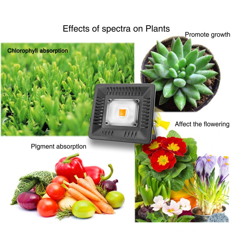 LED Full Spectrum Grow Light 110V 220V 50W 100W 150W Growth Floodlight Plant Lamp For Indoor Greenhouse Seeding Vegetable Flower