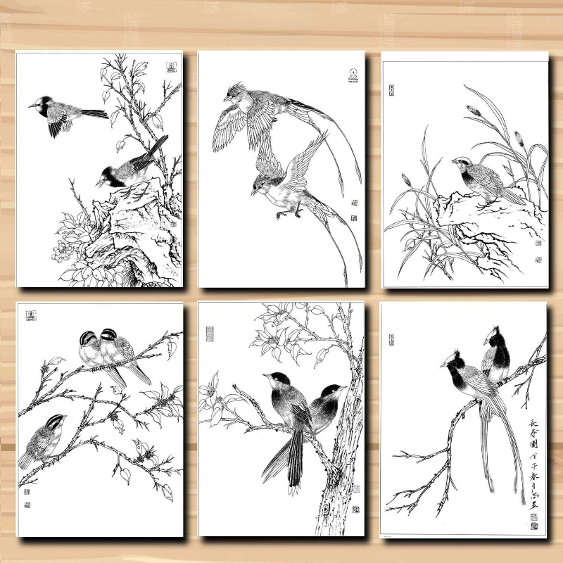 Meticulous Painting Line Drawing Manuscript Traditional Chinese Painting Flowers Birds Characters Animals Line Draft Rice Paper