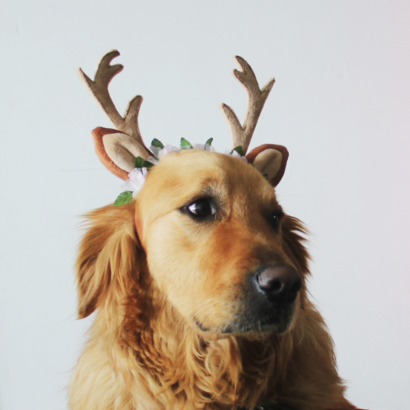 Husdjur jul horn ren huvudbonad pannband hund katt husdjur cosplay dress up rådjur hatt blommig pannband hund års kostym