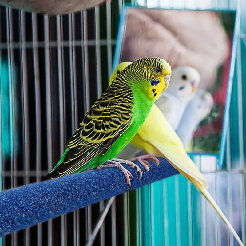 1pcs Pet Parrot Bird Standing Stick Bird Scrubbing Stick Rack Bird Cage Accessories