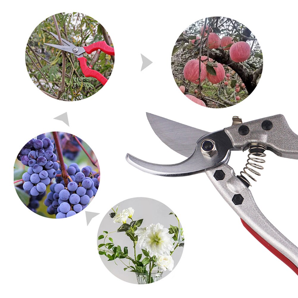 Plant Trim Tuin Schaar Snoeischaar Fruit Boom Boomgaard Snoeischaar Cutter Struik Tuin Schaar Tool