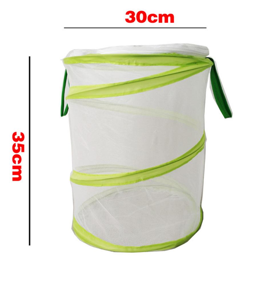 Insect En Vlinder Habitat Vlinder Kooi Insect Fokken Mesh Net Outdoor Tuin Insect Voeden Observatie Doos