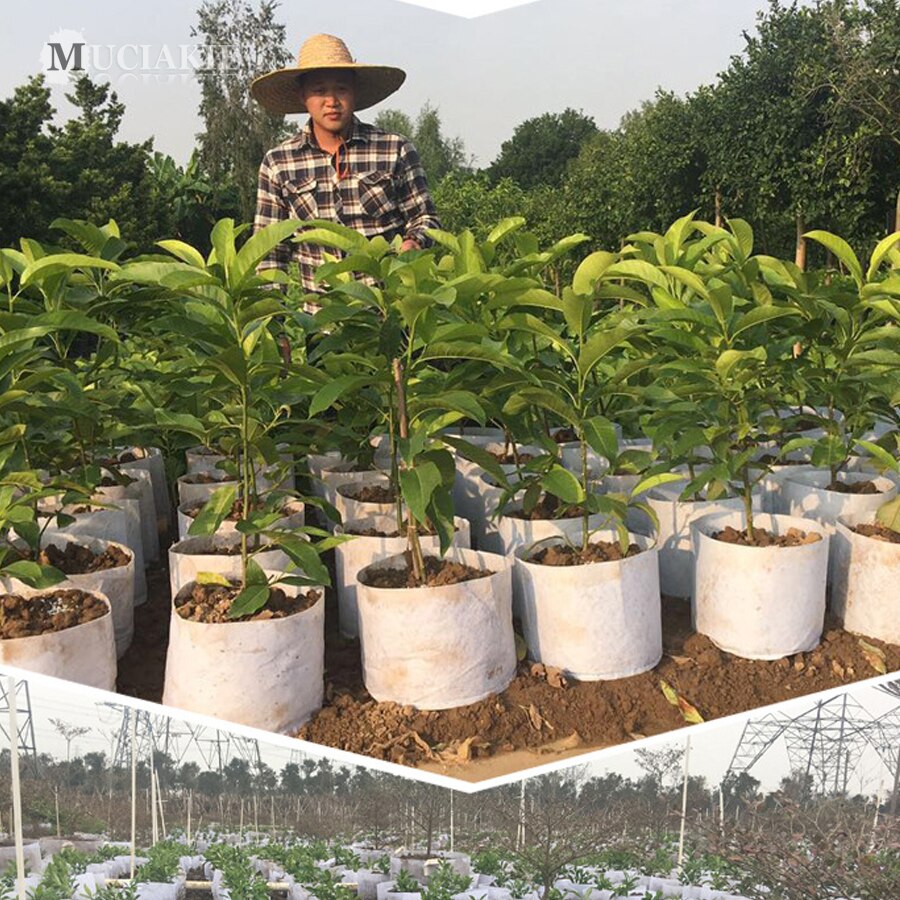 MUCIAKIE Tree Root Control Bags Non Woven Fabric Flowers Tree Seedling Bags Planting Grow Green Bag Container Pots Garden