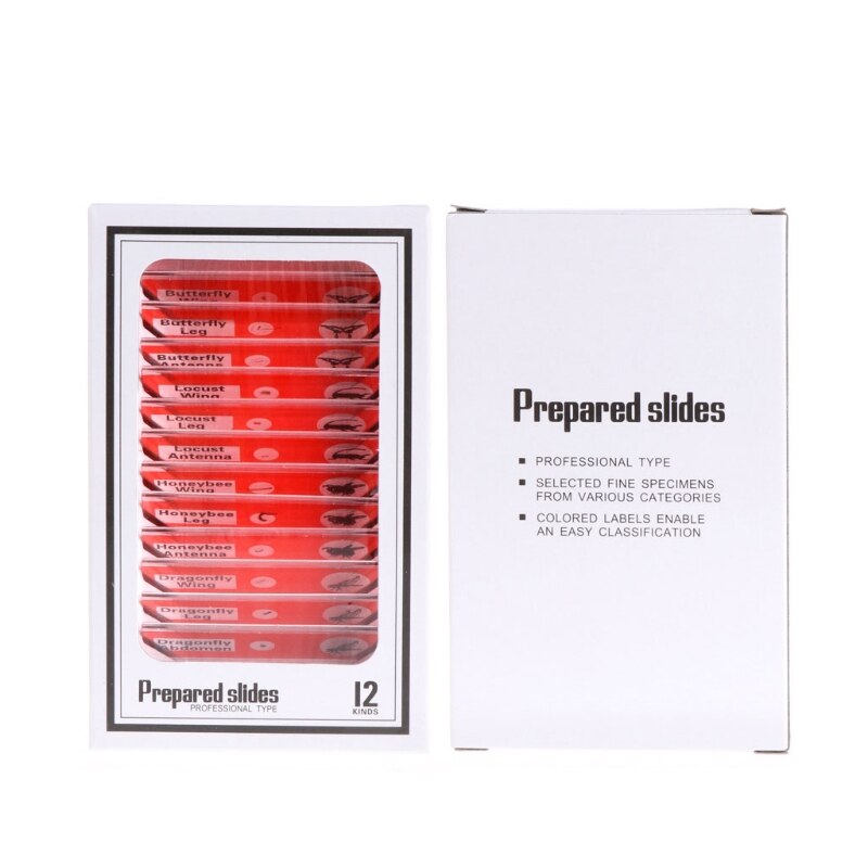 12 Pcs Microscope Slides Specimen Lens Biology Animals Insects Plants Flower Sample for Children Home School Science Educational