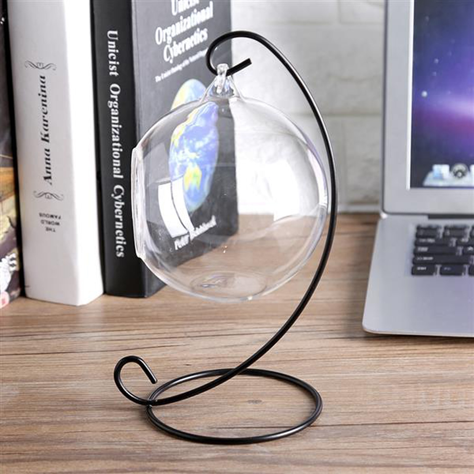 Hanging Glass Terrarium Clear Large Glass Vase With 23cm Metal Display Stand Ocean Scene For Air Plants Succulent Planters Home