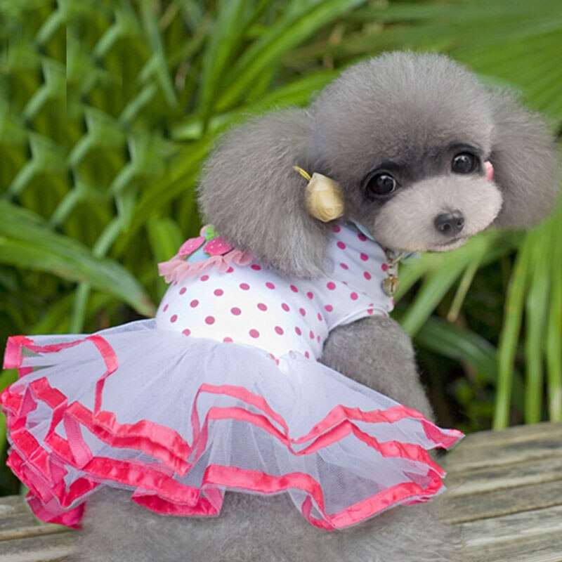 Chien cerise motif Style jupe gonflée chiot dentelle robe coton et maille matériel décontracté confortable Simple vêtements pour animaux de compagnie