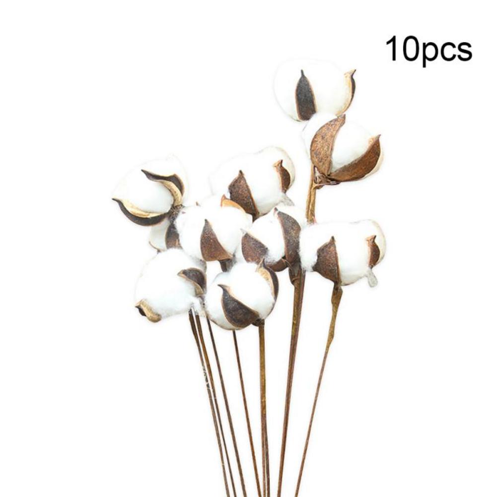10Pcs Natuurlijk Gedroogd Katoen Bloem Kunstplanten Bloemen Korte Tak Voor Wedding Party Decoratie Nep Bloemen Home Decor: Default Title