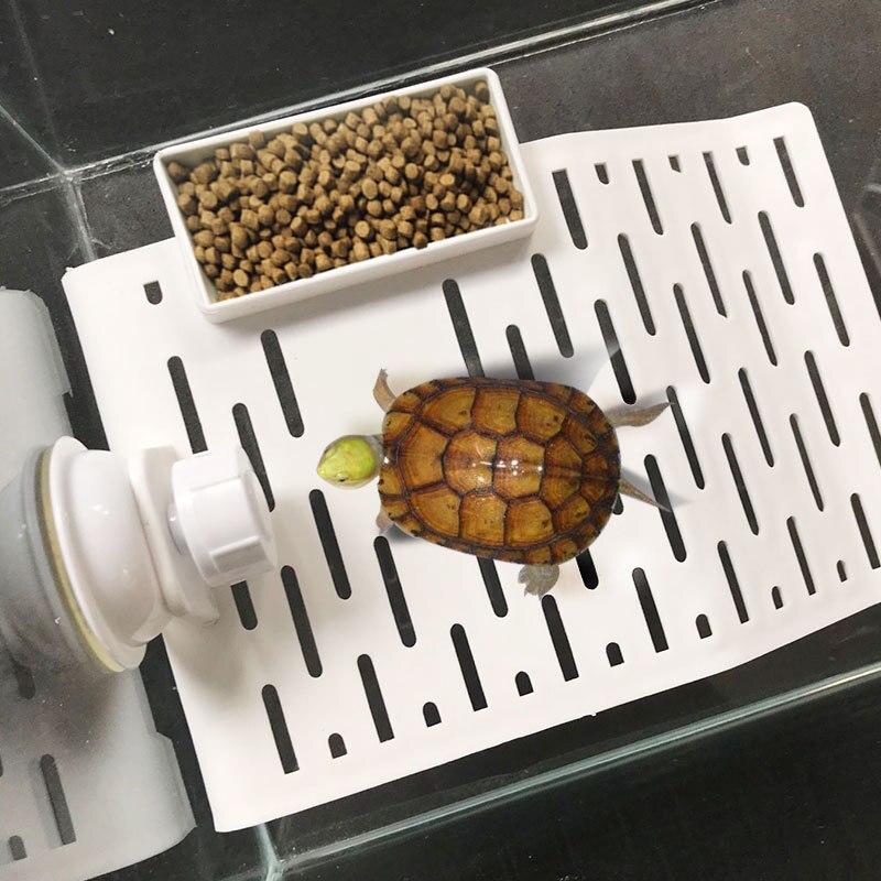 aquarium pour tortue plateforme tortue aquatique, rampe pour tortues, terrasse, île flottante, aquarium, avec ventouses maison tortue terrestre