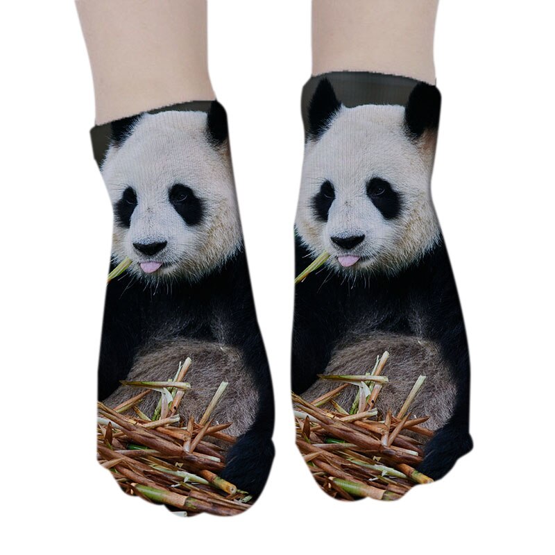 Casual, coole panda-patroon harajuku sokken voor dames, hipster, grappige katoenen korte sokken, vrouwelijke kunst, lage dunne sokken