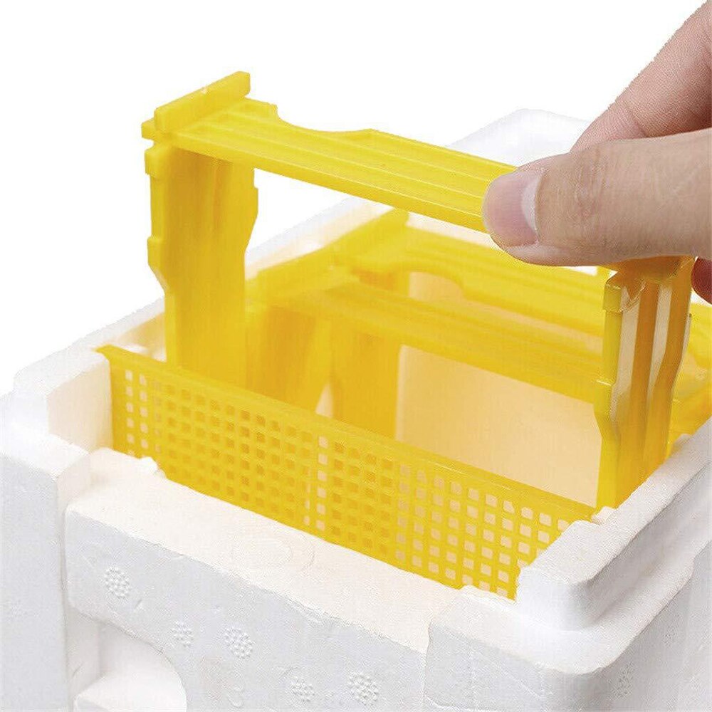 Schaum Biene Paarung Kasten mit Netz Warmkeeping Wasserdichte Königin Zucht fallen 24,1 x15x 14,1 cm Bienenzucht Werkzeuge für Bestäubung können CSV