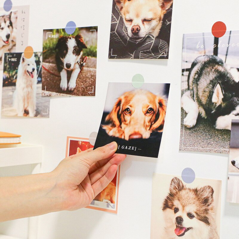 Ins 9 Sheets Interesting Cat Dog Postcard Square Cute Animals Decorative Card Small Poster Diy Background Wall Sticker