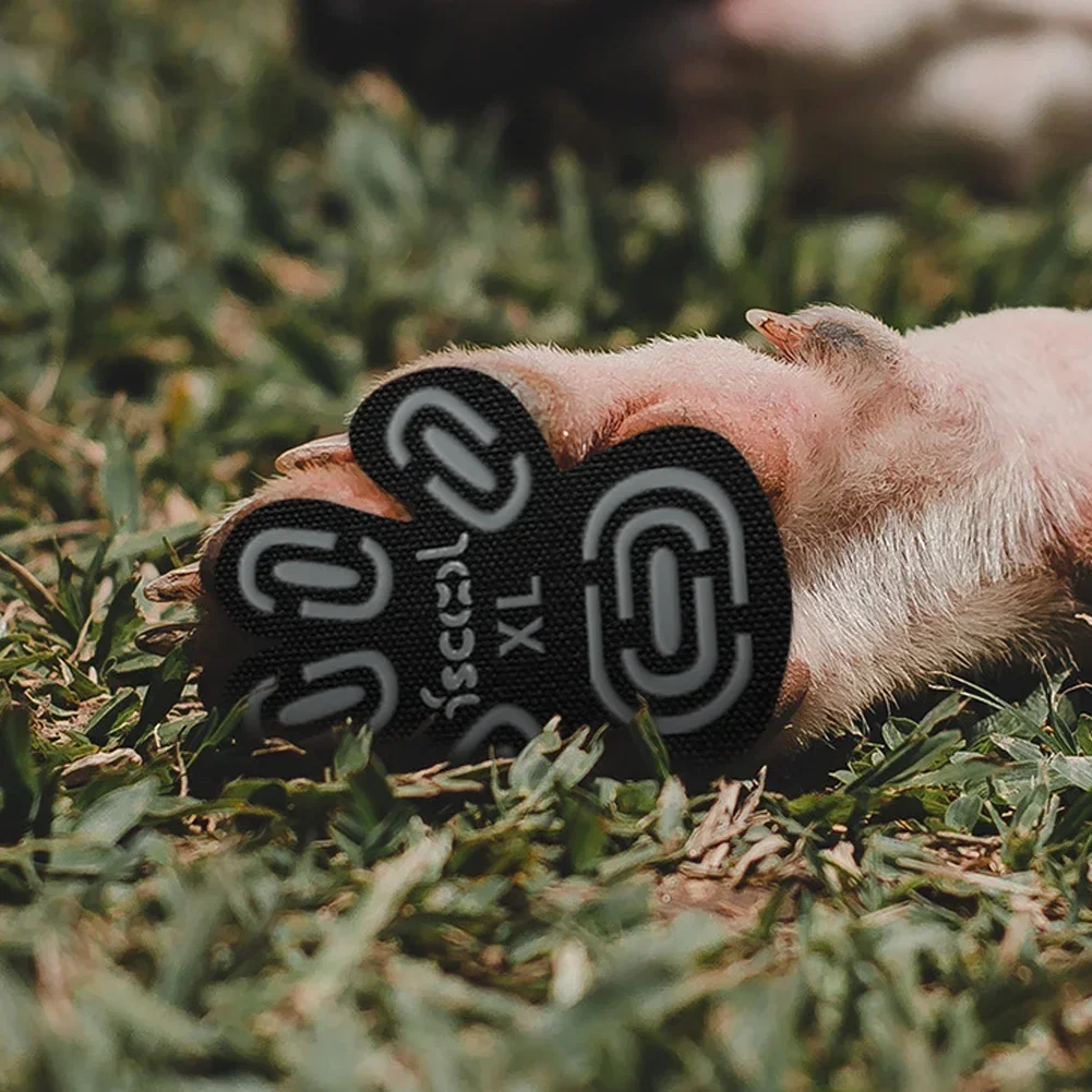 Almohadillas para dedos de los pies de perro, protectores de patas que proporcionan tracción del pie para perros mayores en suelos deslizantes, Ideal para protección de pavimiento en , 4 Uds.