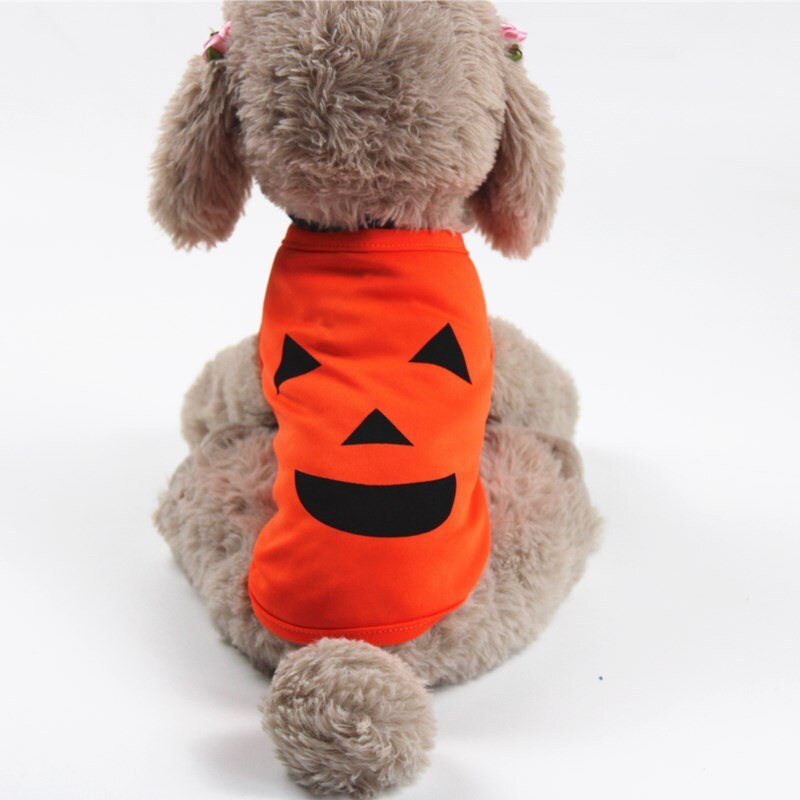 Halloween carnaval chat vêtements drôle vêtements pour animaux de compagnie veste d'hiver chien déguisement d'halloween tenue pour petits chiens deux pieds vêtements: Smiley / XXL