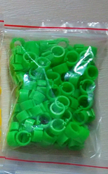 100Pcs Duiven Ringen 8*7Mm Bajonet Identificatie Ring Opening Ring Kleur Duif Voetring Duif Levert Vogel apparaten: Green