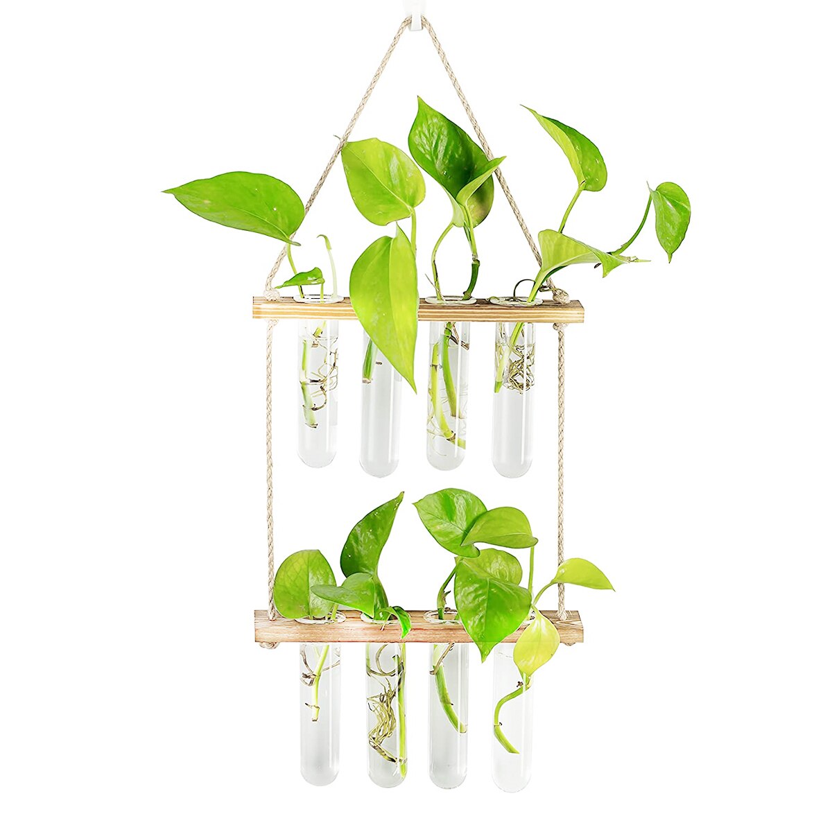 Ins – jardinière murale en verre, Terrarium, Vase avec support de Tube à essai en bois pour la Propagation de plantes hydroponiques: Double-layer Wood