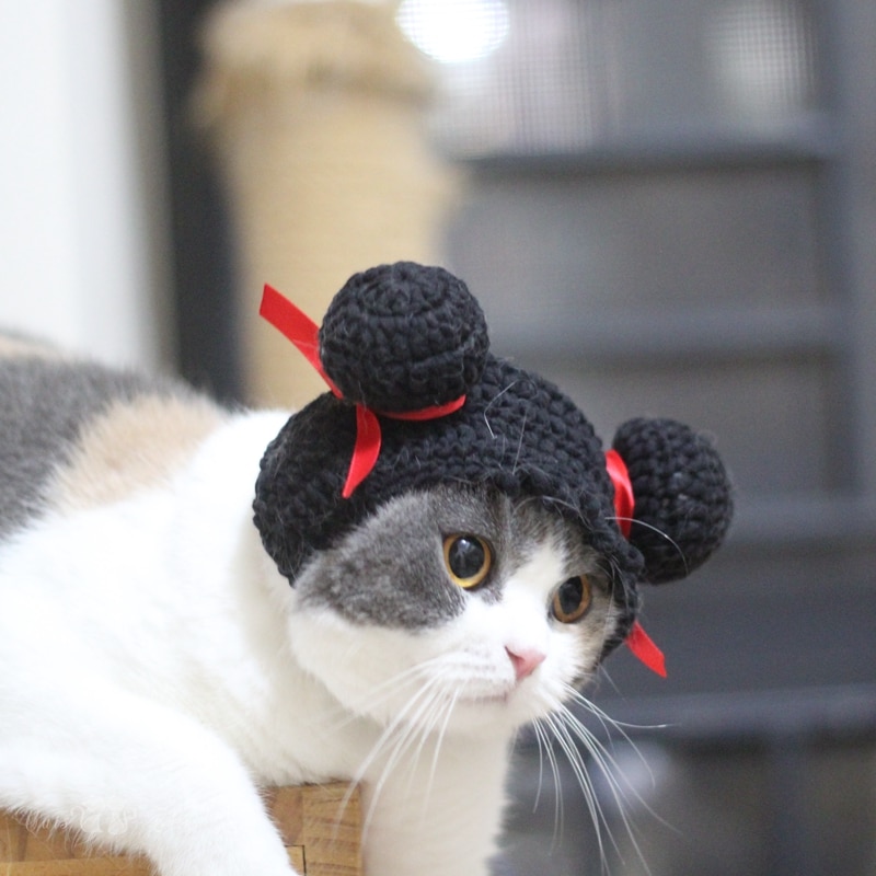 Ubranka dla kotów szczeniaczek kot śmieszne włosy kostium zimowy ciepły pluszowy kot kapelusz dla małych psów kotek odzież N62