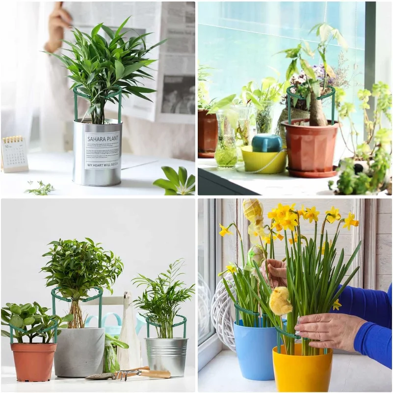 20/8/2pcs Kunststoff Pflanze Stütz pfahl Rahmen Gewächshaus Anordnung Halbkreis feste Stange Innen blume Pflanze Rebe Kletter halterung