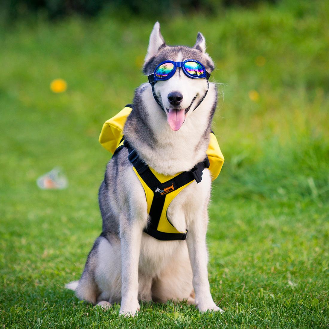 Haustier Hund Satteltaschen Pack hetzen Reise Camping Wandern Rucksack Sattel Tasche für Mittel groß Hunde