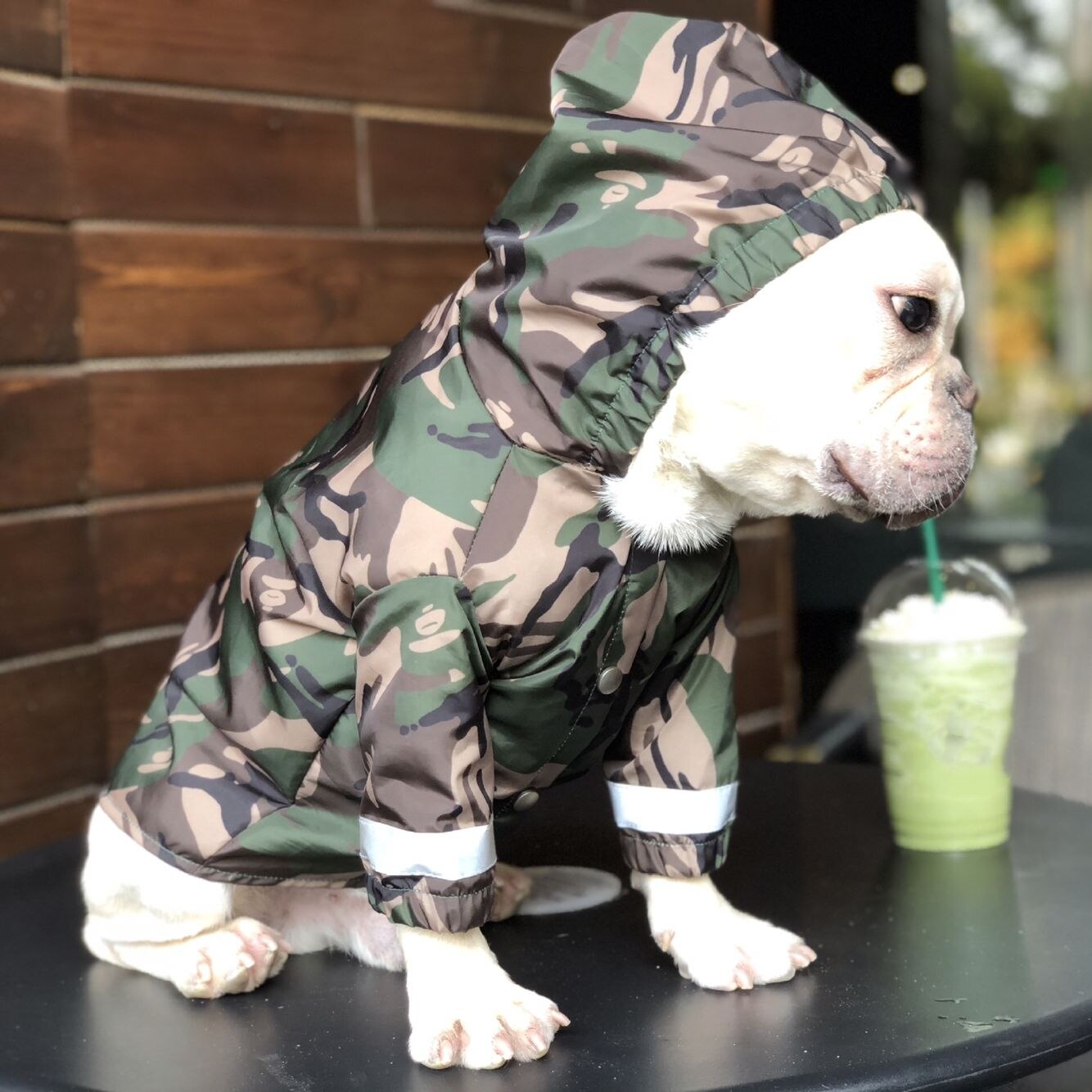 Hond regenjas waterdicht winddicht camouflage reflecterende regenjas huisdier regenjas meerdere maten
