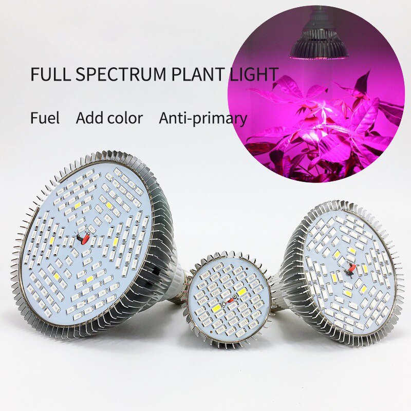 Volledig spectrum led plantengroeilamp 30w 50w 80w hydrocultuur groeilamp binnenvullamp led kweeklamp par 38 fytolamp