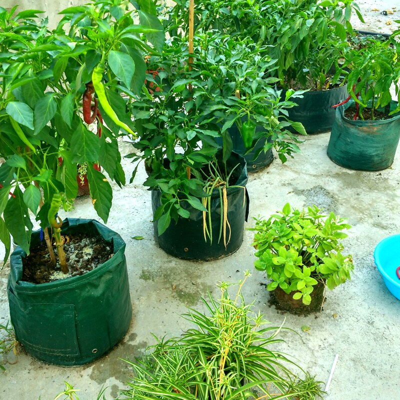 Maceta de gran planta de 7-10 galones, bolsas para el cultivo de semillas, herramientas para el jardín, tela de fresa y patata, macetas para cultivo de semillas