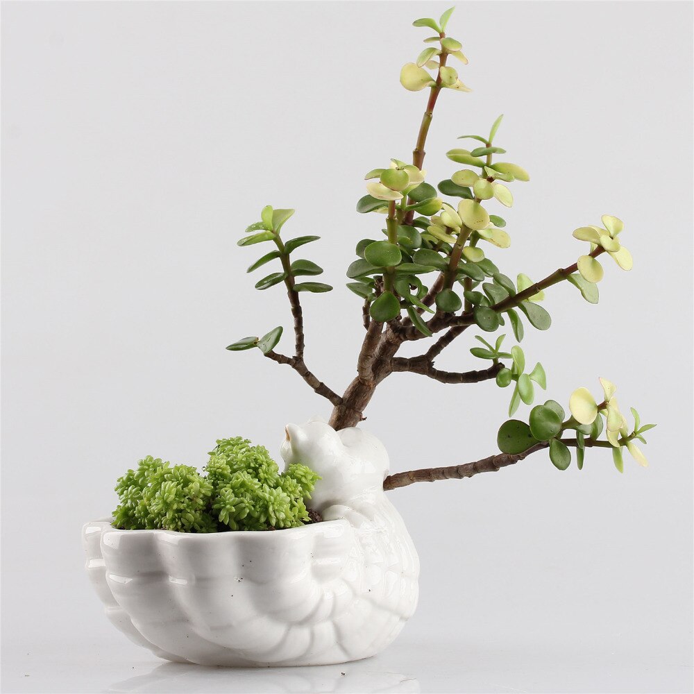 Leuke Katten Kitten Keramische Bloempot Bonsai Aardewerk Plantenbakken Bloembakken Tuin Porselein Jardin Succulent Decor Macetas