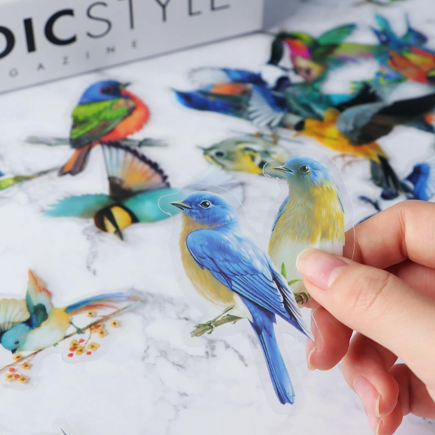 40PCS Bird Stickers, Scrapbook Bird Stickers Waterproof for Journal Laptop Water Bottle Cell Phone Cases Aesthetic Crafts