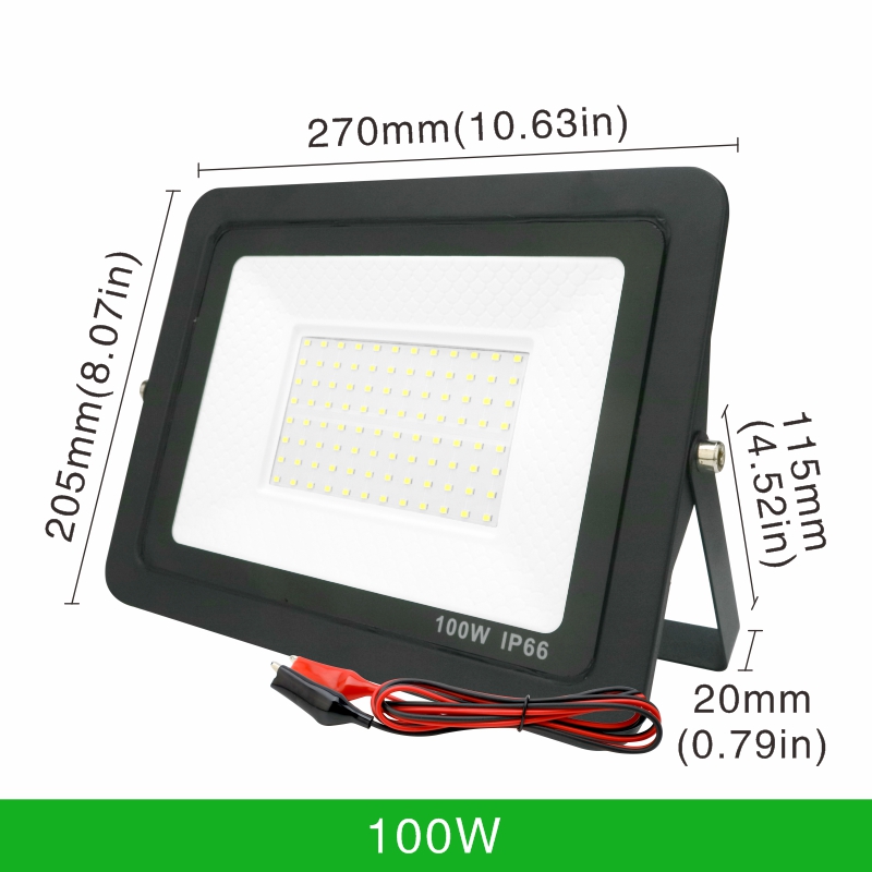 20W 30W 50W 100W DC12V Led Flood Light Outdoor Floodlight Spotlight IP66 Waterproof Light Reflector Portable 12 Volt Led Lights: RGB