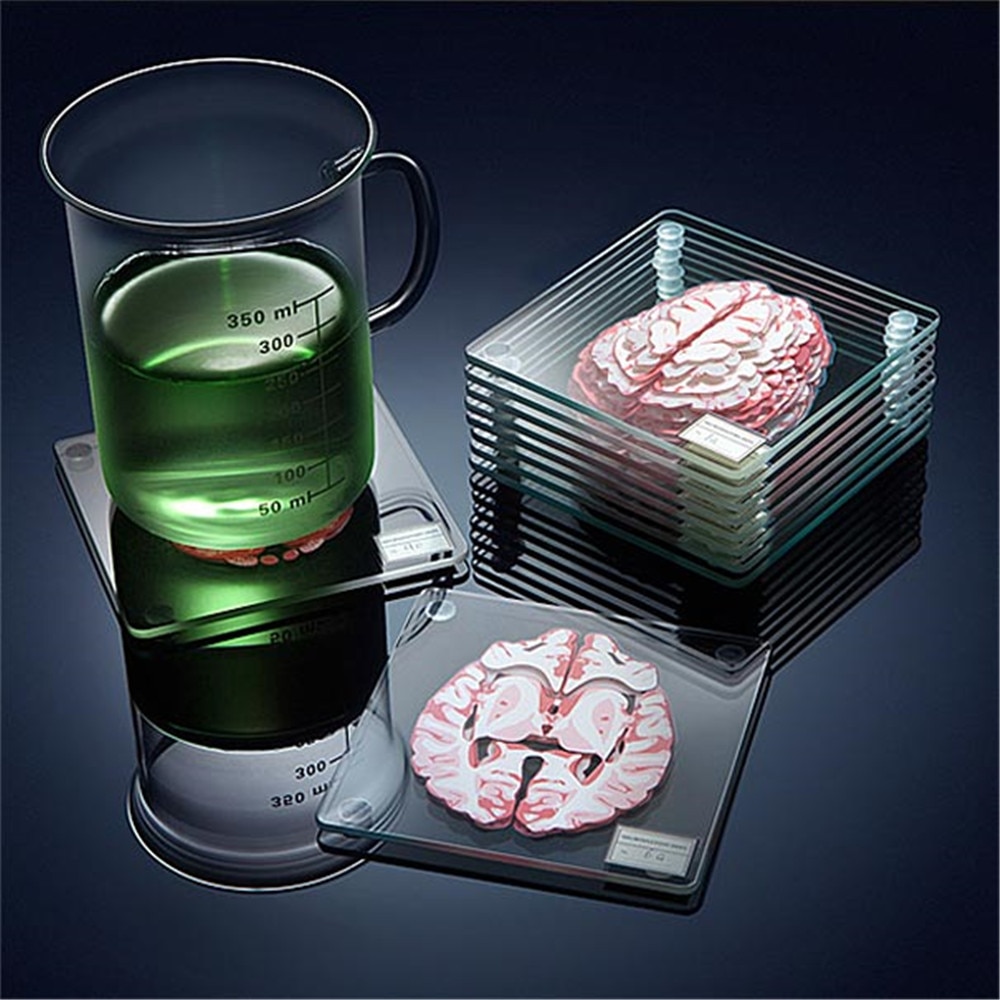 10Pieces/Set 3D Organ Brain Specimen Coasters Set Drinks Table Coaster Brain Slices Square Acrylic Glass Drunk Scientists