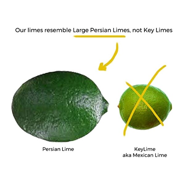 14 sztuk sztuczne cytryny sztuczna cytryna owoce dla domu dom przyjęcie w kuchni dekoracji (zielony i żółty)